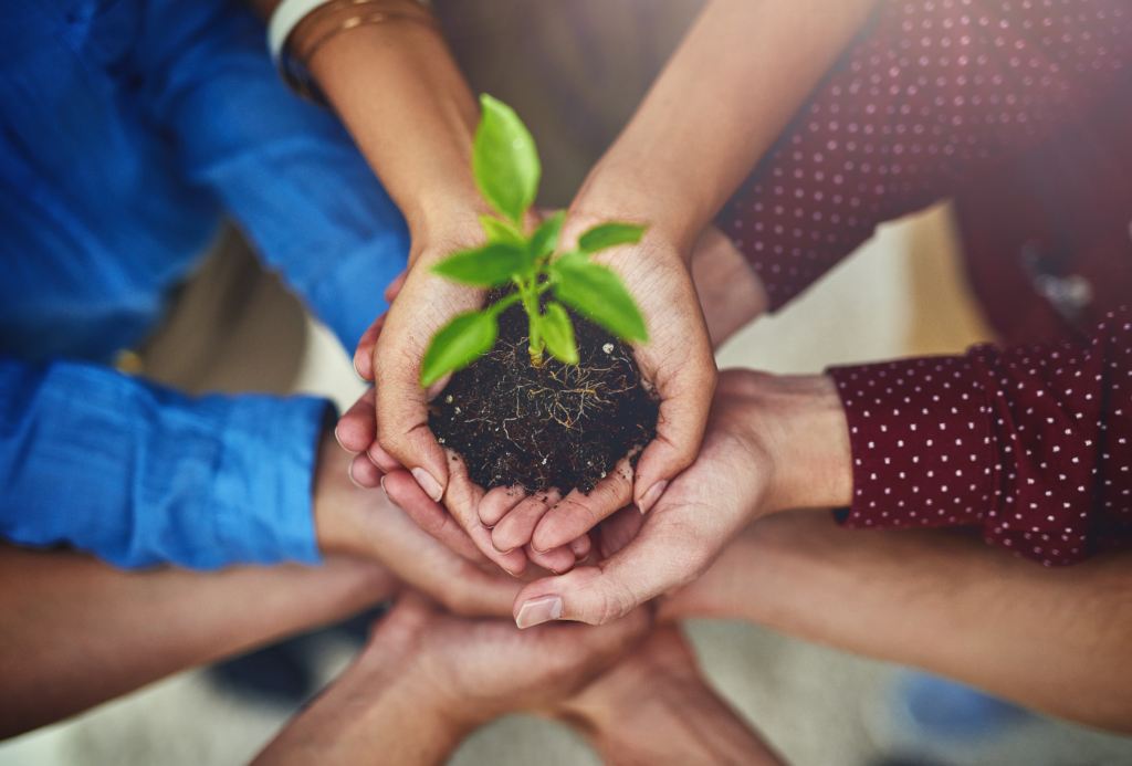 Foundations services - independent financial services in Guernsey